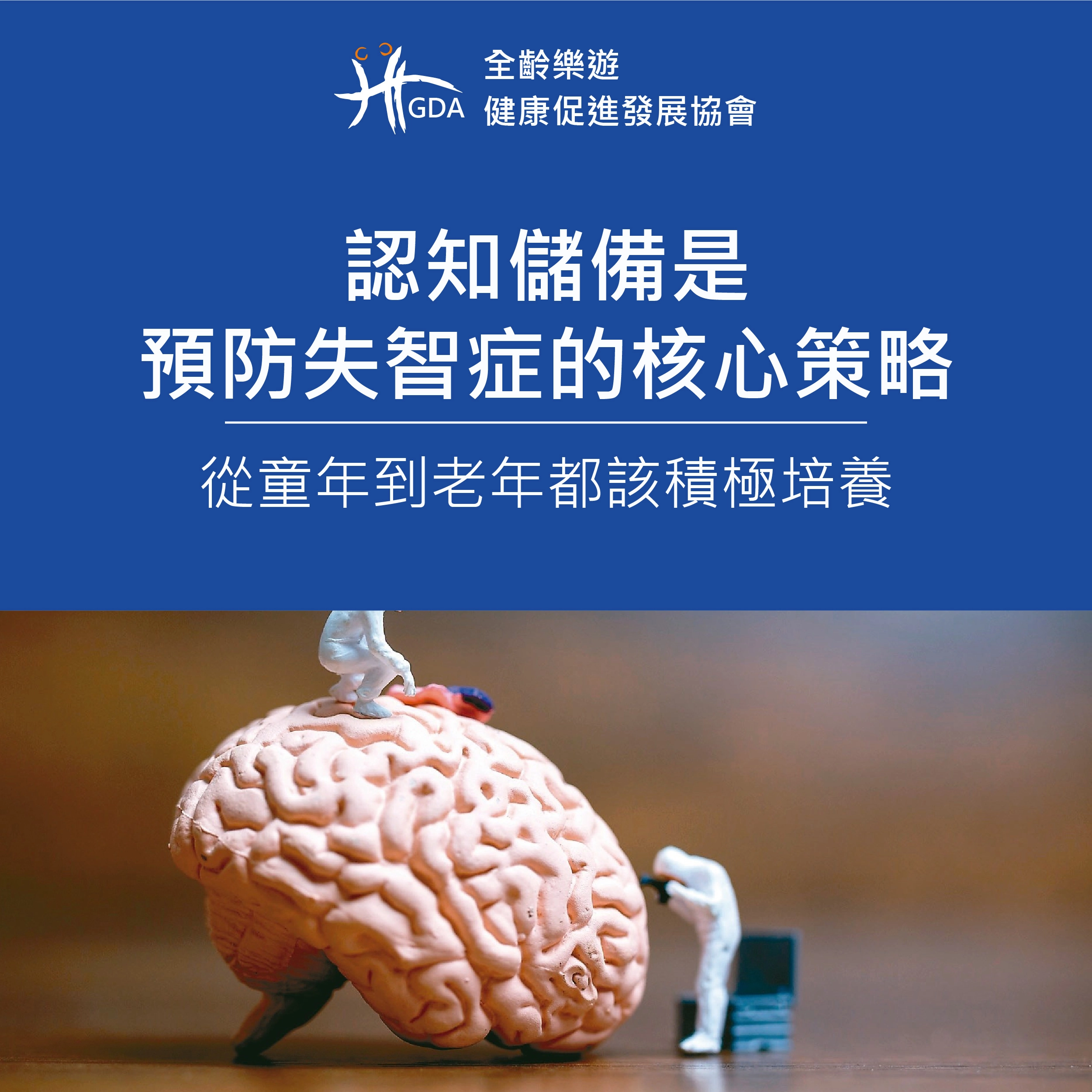 認知儲備是預防失智症的核心策略，從童年到老年都該積極培養