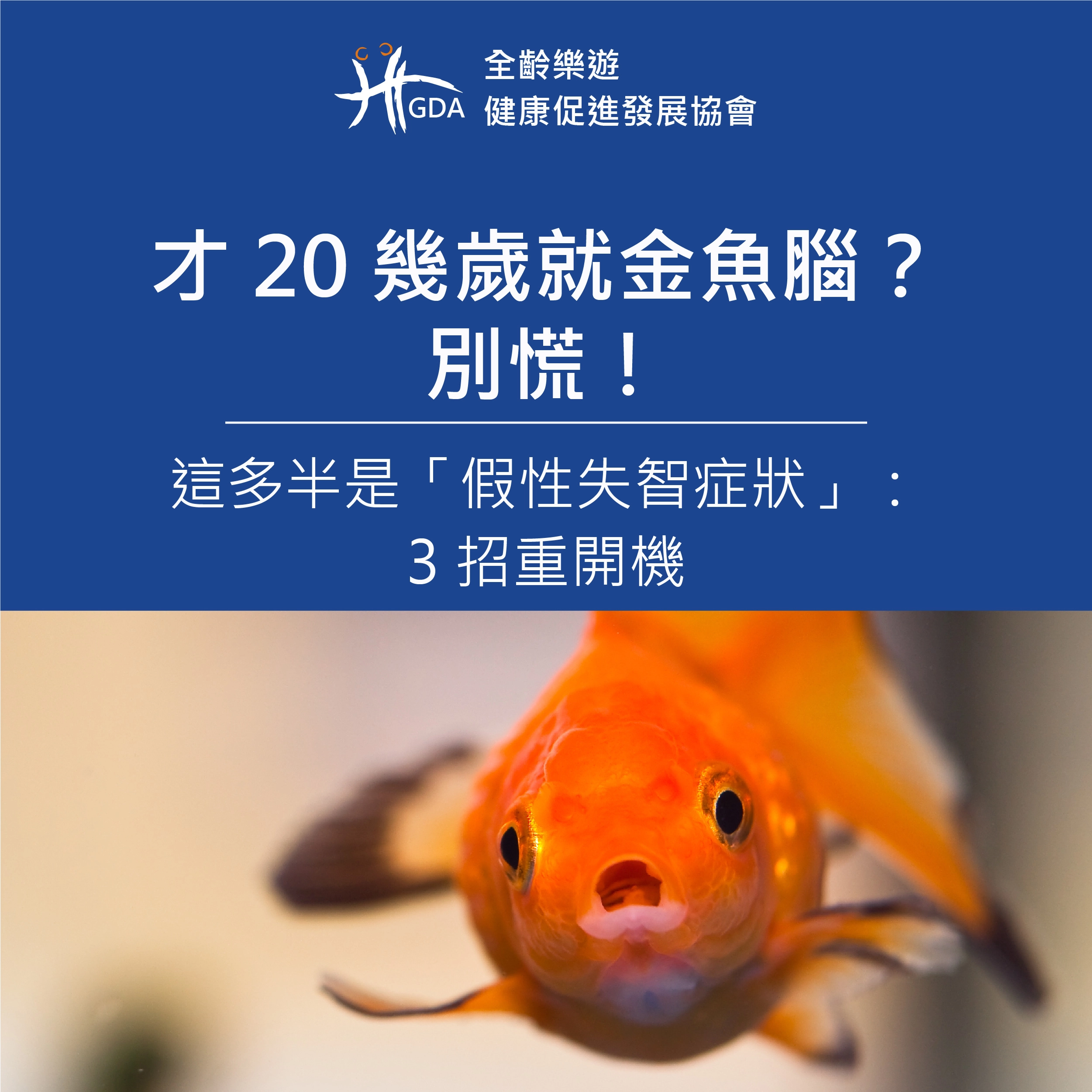 才 20 幾歲就金魚腦？別慌！這多半是「假性失智症狀」：3 招重開機